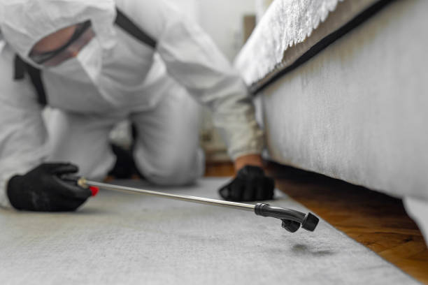 Professional Cockroach Control technician working in Palos Verdes Estates, CA