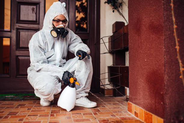 Reliable Cockroach Control contractor in Palos Verdes Estates, CA by Nex Pest Control